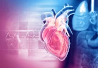 New Northwestern Medicine Research Refines the Role of Coronary Artery Calcium Scans in Heart Disease Risk Assessment