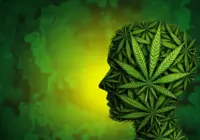 Cannabinoid Modulation of Central Amygdala Population Dynamics During Threat Investigation